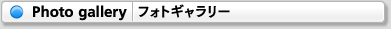 Photo gallery（フォトギャラリー）